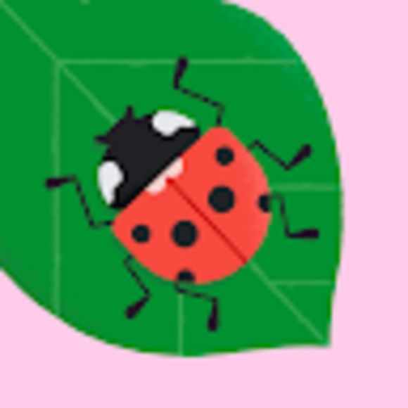 d_ladybug
